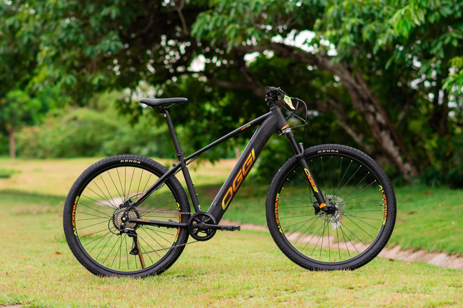 Oggi Big Wheel 8.0